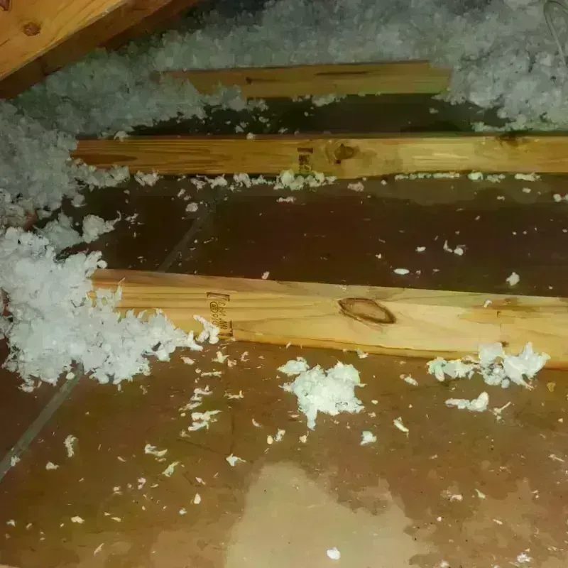 Attic Water Damage in Mounds, OK