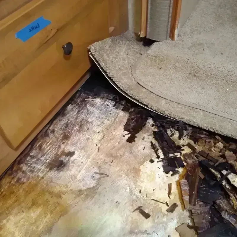 Wood Floor Water Damage in Mounds, OK